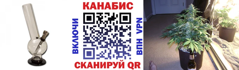 Конопля VHQ  мориарти телеграм  Сосновый Бор  кракен  